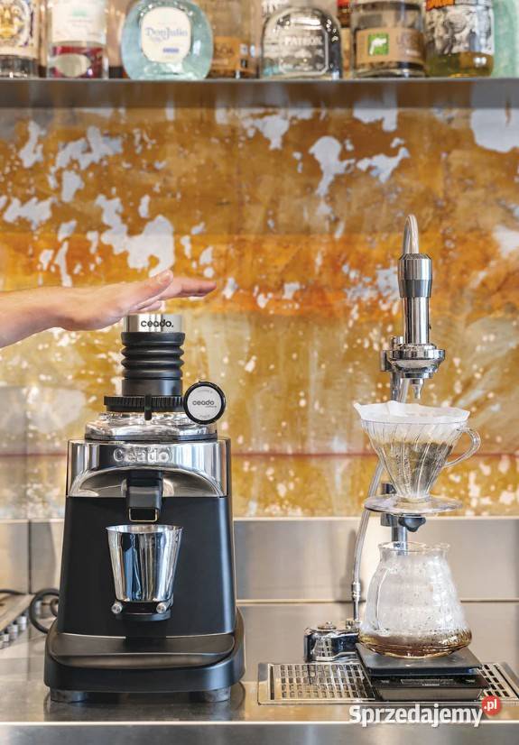 Ceado E37SD profesjonalny młynek Single Dose 83 sprzedam