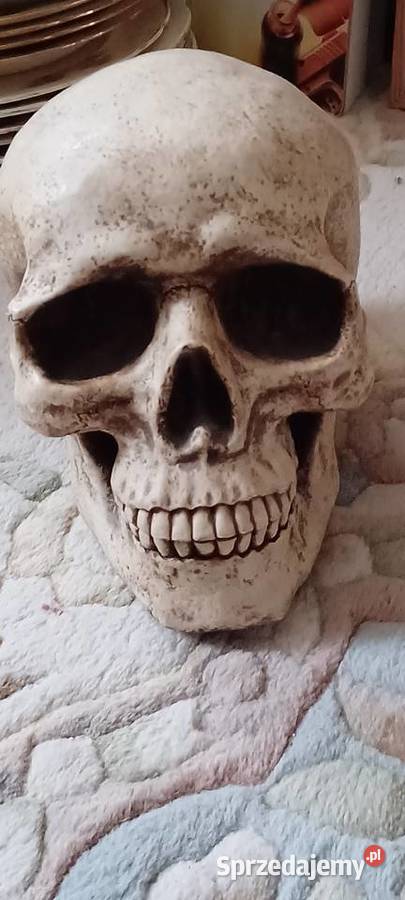 W POZNANIU KUPNO ZABYTEK SYGNATURY ZYWICA