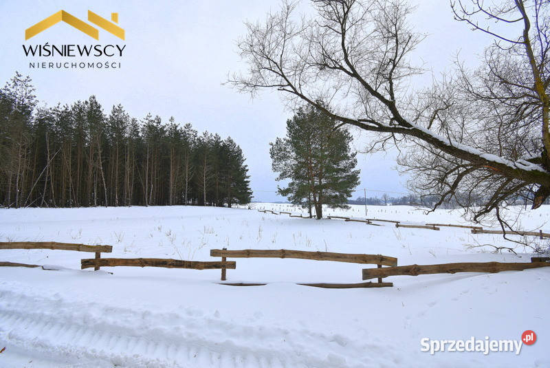 Działka 3001 m2 lesie budowlana uzbrojona Kiersztanowo sprzedam