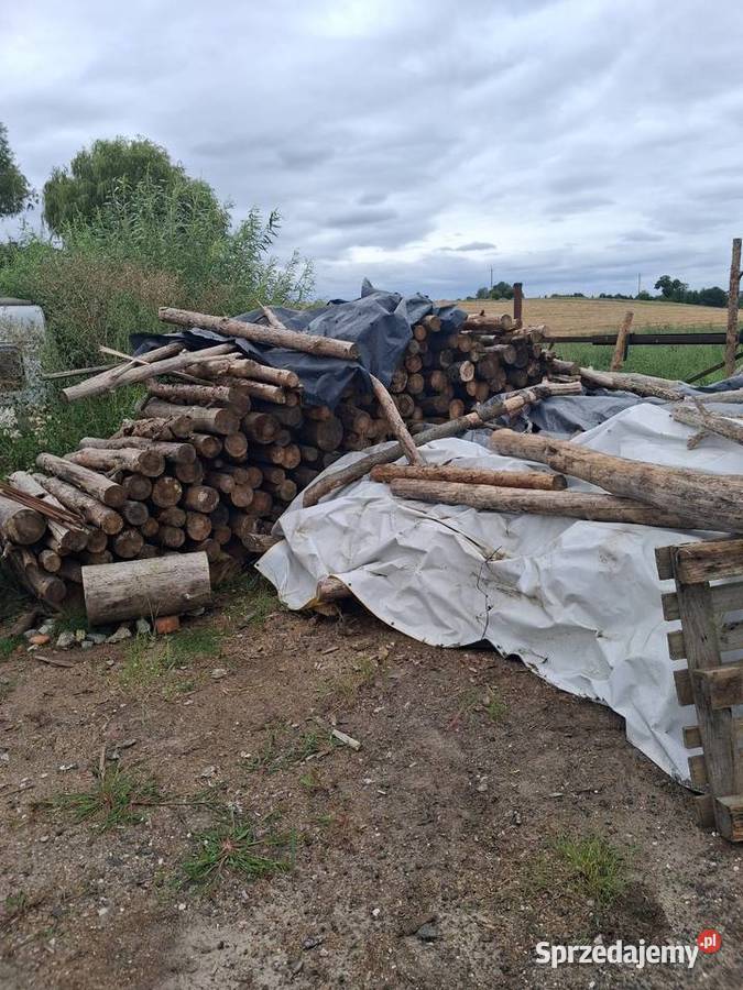 Drewno opalowe suchewalki Dobrcz