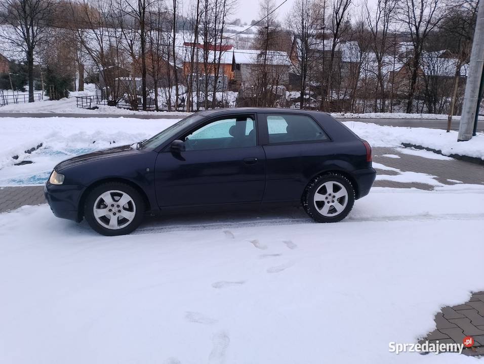 Sprzedam a3 8l Korzenna