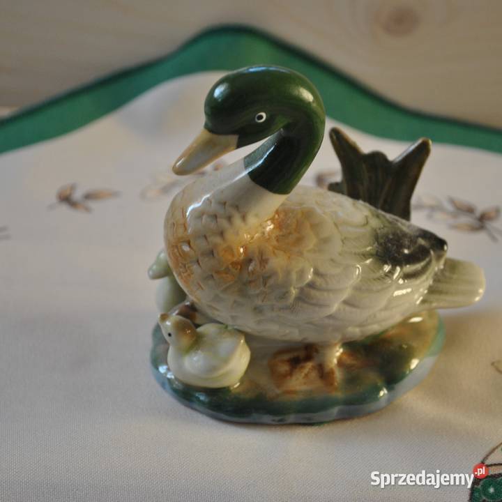Porcelanowa kacza rodzinka warmińsko-mazurskie Szczytno
