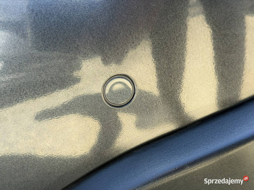 Renault Scenic Scenic Częstochowa