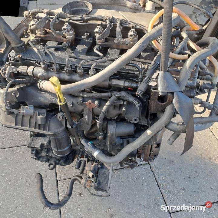Ford Transit MK VII 22 TDCi silnik kompletny kod Jastrzębie-Zdrój sprzedam