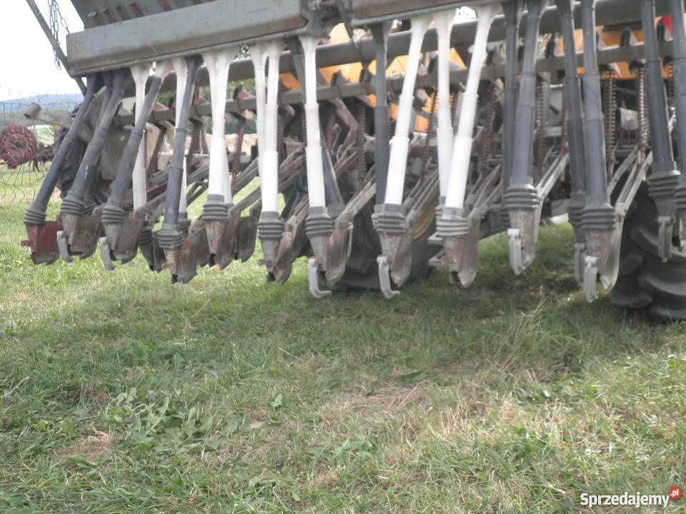 SIEWNIK POZNANIAK Mniów