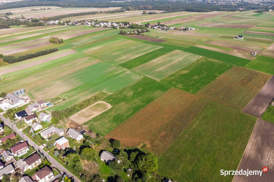 Gospodarstwo rolne Gmina Wolbrom małopolskie Lgota Wolbromska