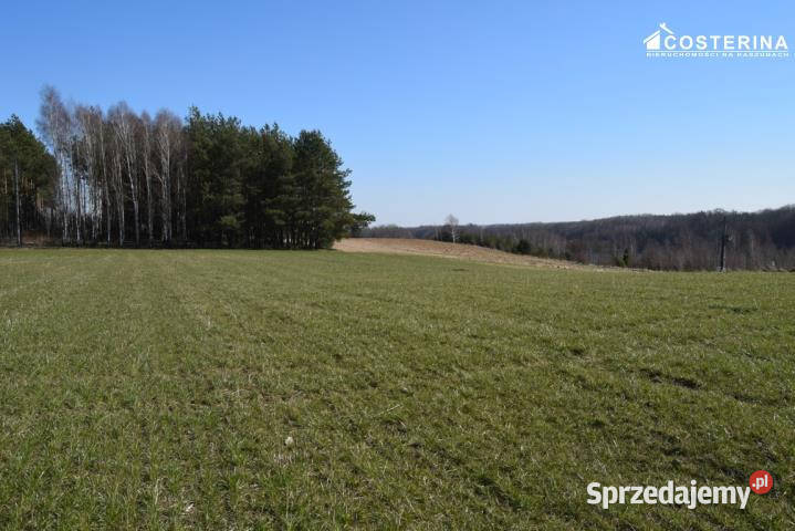 Grunt Liniewo 1030m2 sprzedam