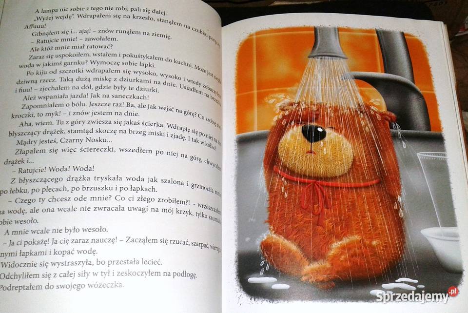 Pamiętnik Czarnego Noska Janina Porazińska Chełm