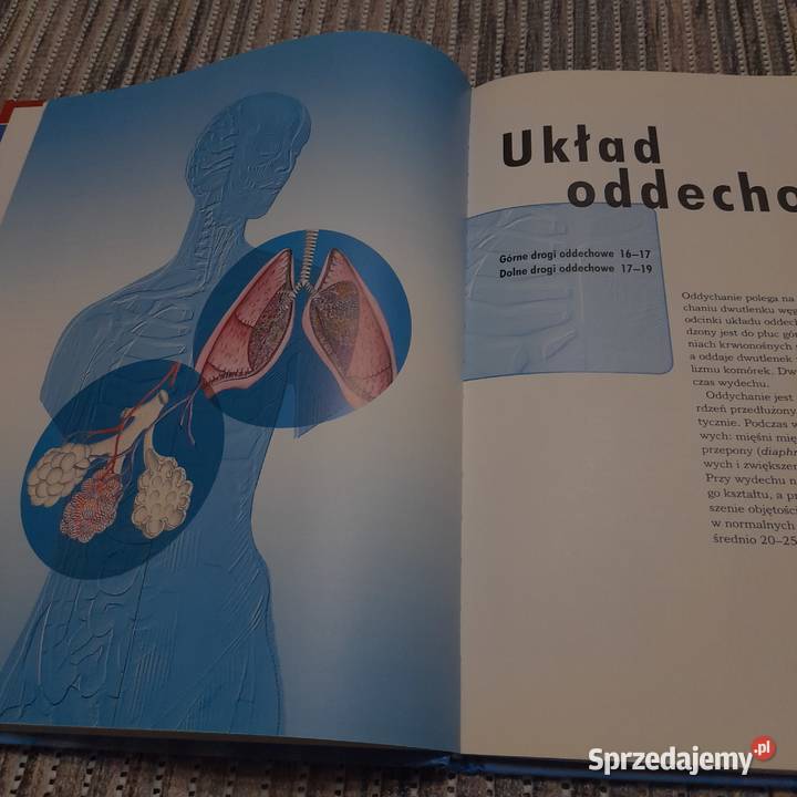 Książka edukacyjna Ciało człowieka Wiedza w Jarosław