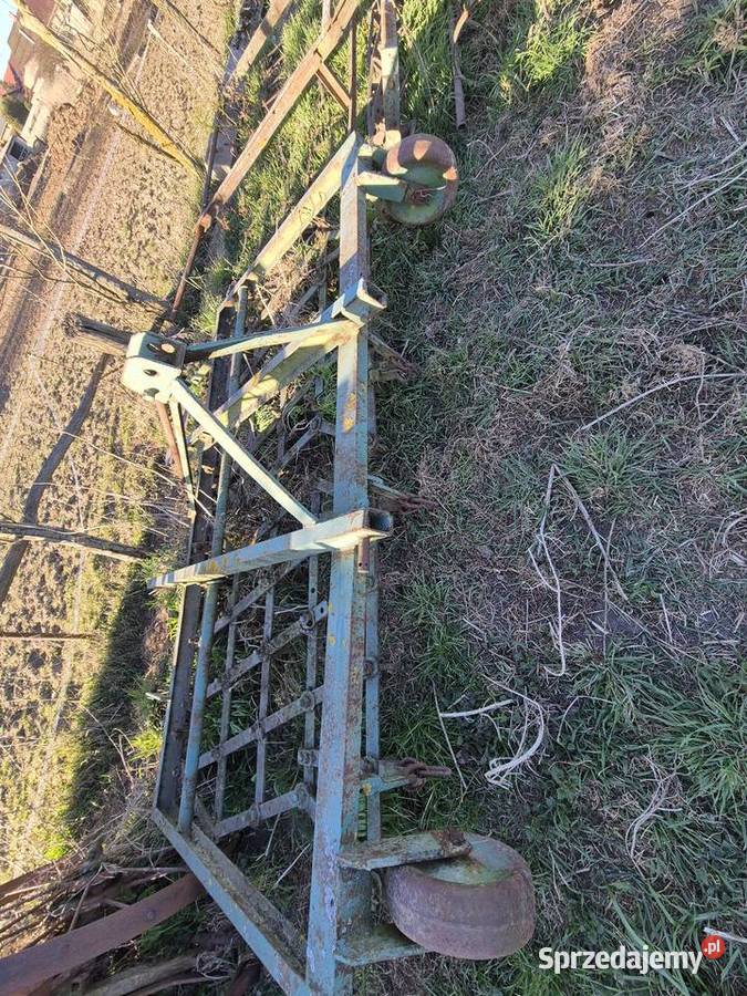 Brony Brony Opalenica