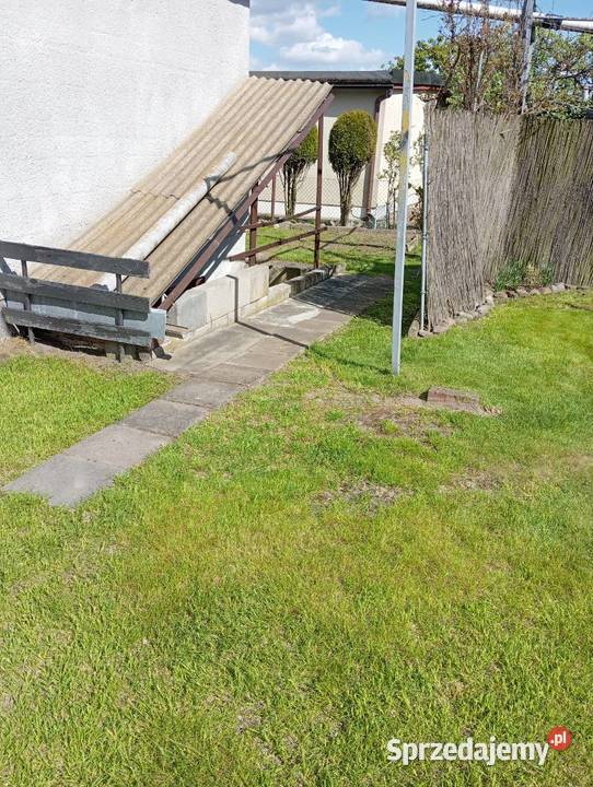 Działka rekreacyjna ROD Pod Lipami Poznań rekreacyjna sprzedam