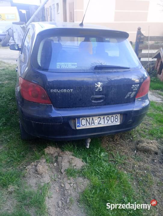 Peugeot 307 HDi 20 Pamiętowo