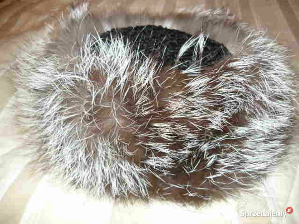 Czpka damska śląskie Myszków