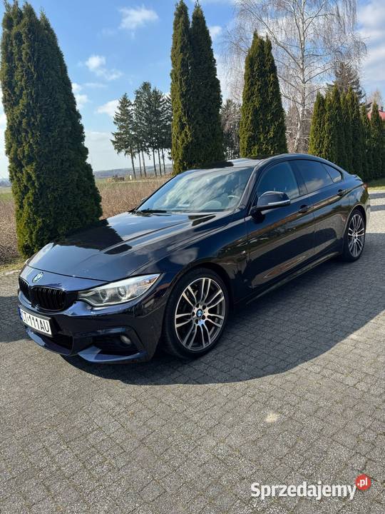 BMW 420 D 224 MPakiet lubelskie Lublin