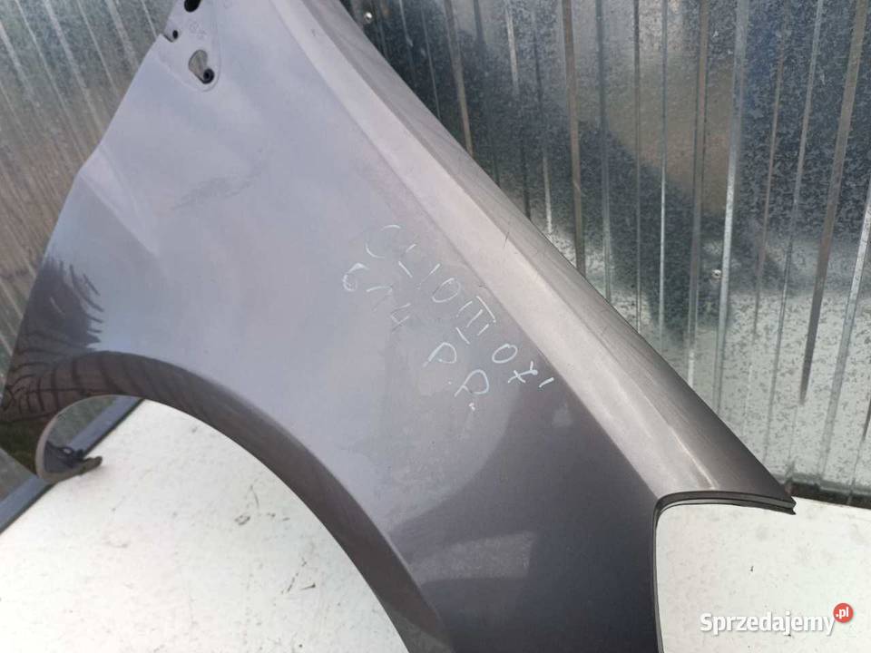 BŁOTNIK PRAWY PRZÓD RENAULT CLIO III Błotniki Karoseria wielkopolskie