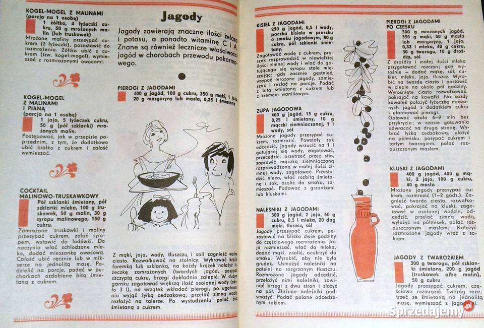 Mrożonkowe ABC Ludmiła Grudowa Chełm