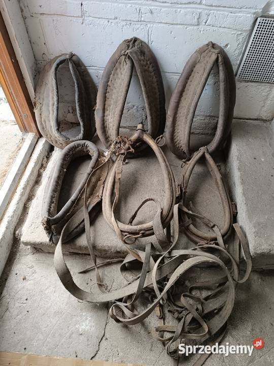 Zabytkowe akcesoria konne chomąto uprząż homonto Rzeszów sprzedam