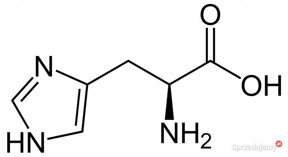 LHistydyna Histydyna Histidine Czysta 250g Łódź