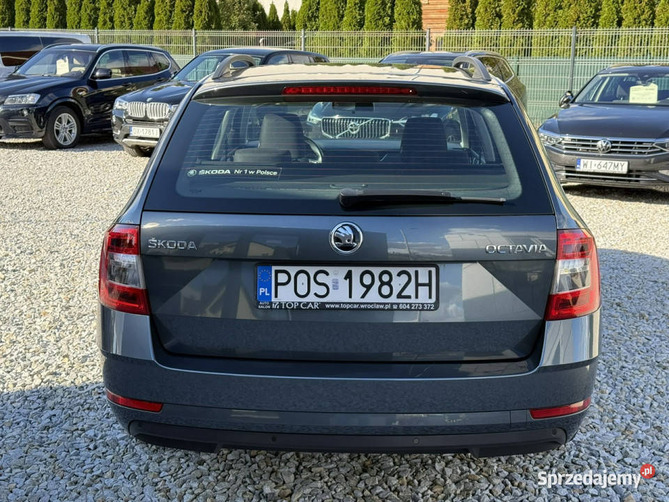 koda Octavia 16TDi 115 2019 Ambition 107 Salon VAT marża Wrocław