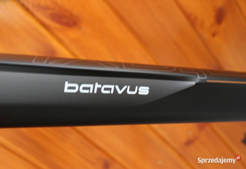 Rower męski Batavus Wayz H 57 RATY Milanówek