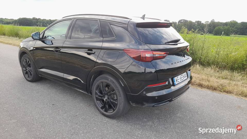 OPEL GRANDLAND 2022 oszczędny i dynamiczny Długołęka