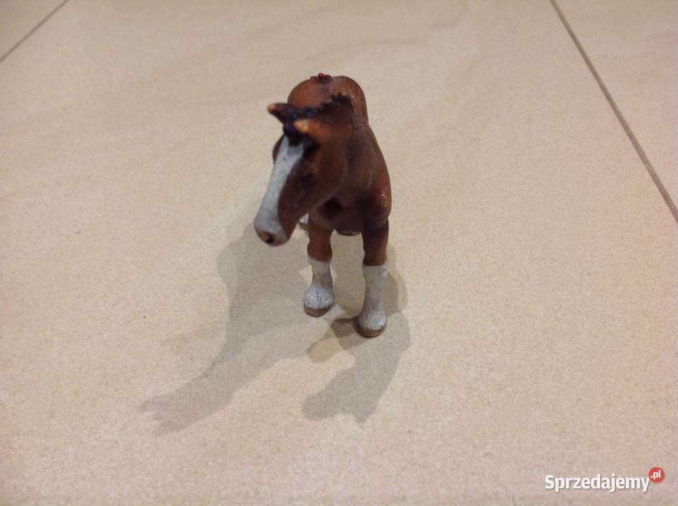 Konik Koń Źrebiak Źrebię Schleich Sygnowany Nowa Sól
