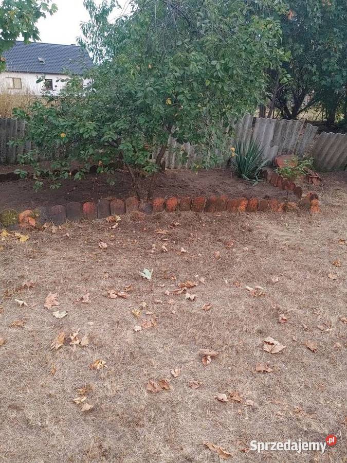 Dom 120 m na działce 1550 m do generalnego sprzedam