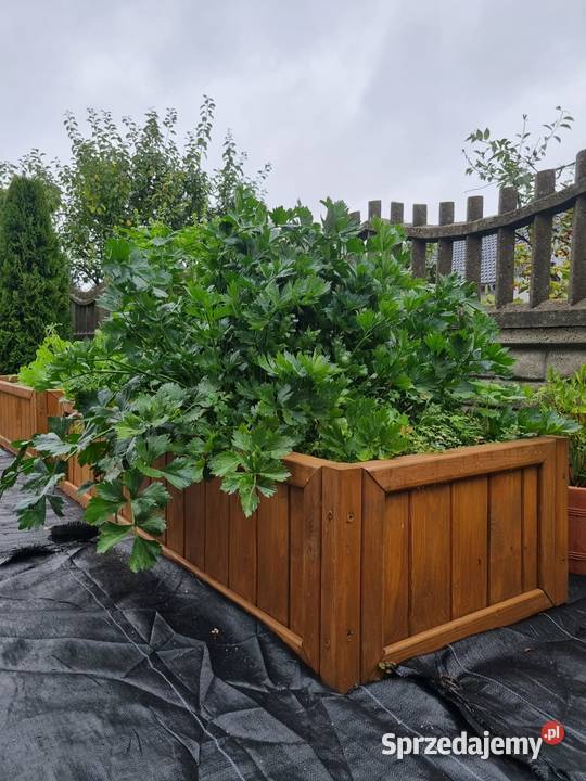 Warzywnik drewniany skrzynia ogrodowa zielnik sprzedam
