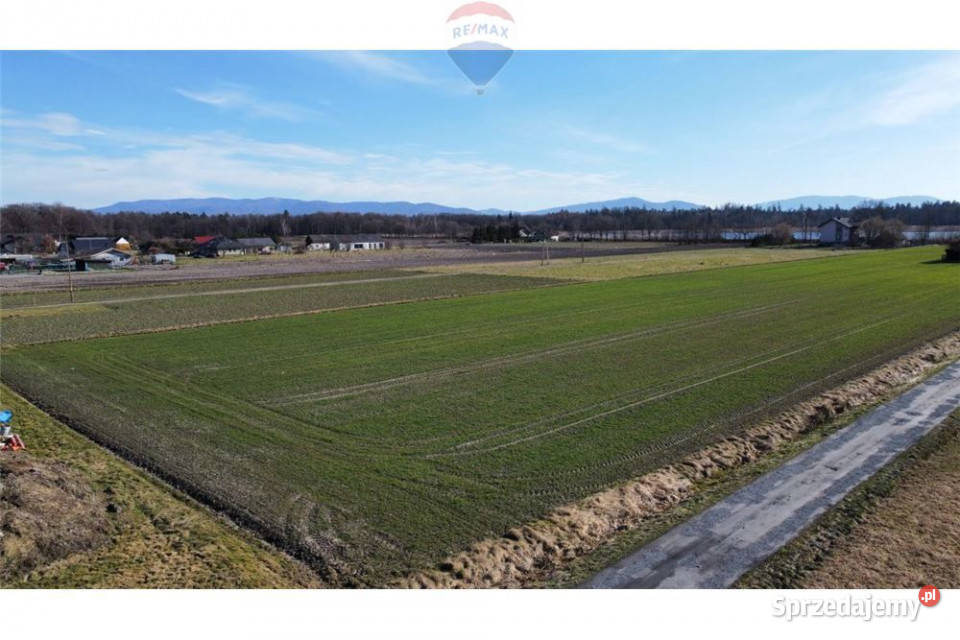 Działka budowlana w Zaborzu Sprzedaż