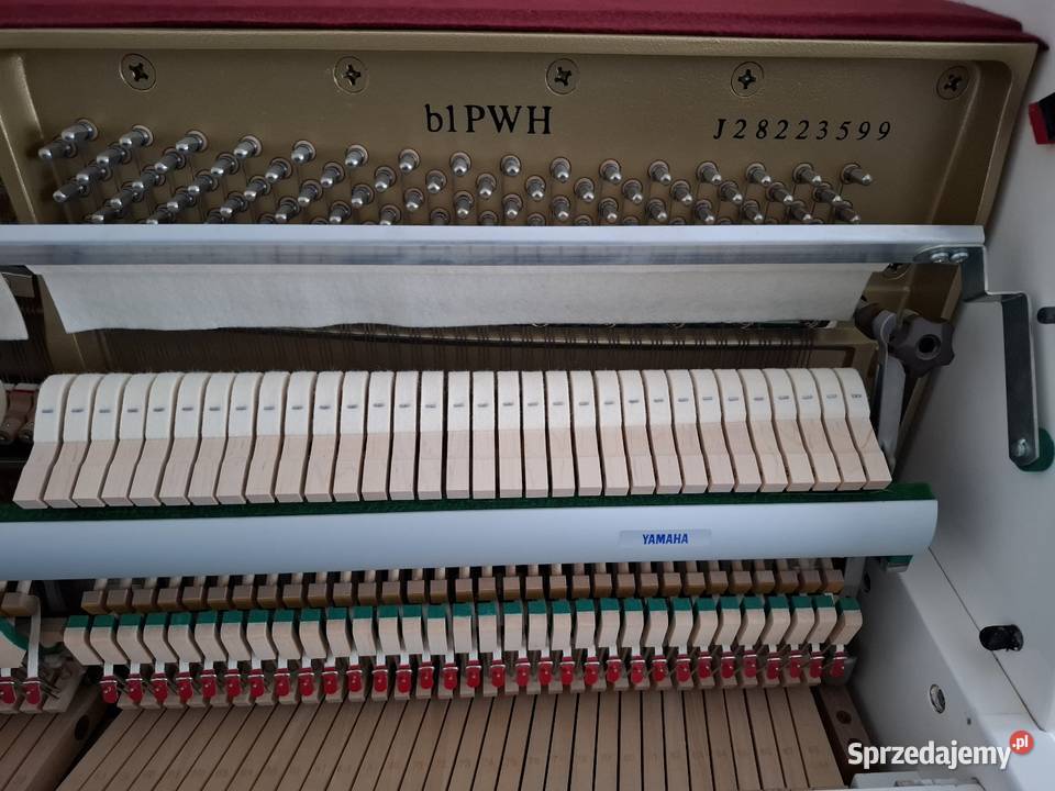 Pianino Yamaha B1 PWH stan fabryczny Gwarancja Brzesko
