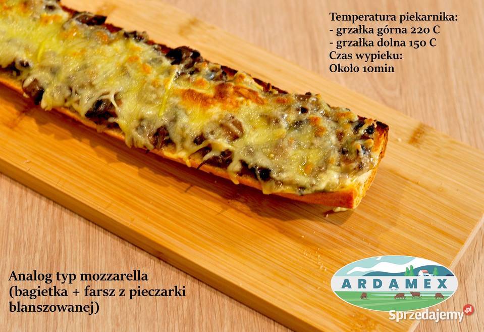 Analog sera śląskie Będzin