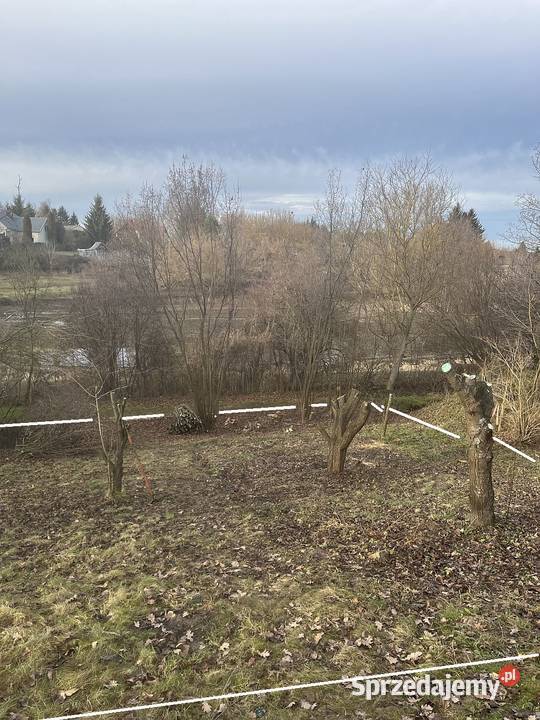 Działka ROD Bratek Dąbrowica 380m2 Ogródek 380m2 Sprzedaż lubelskie