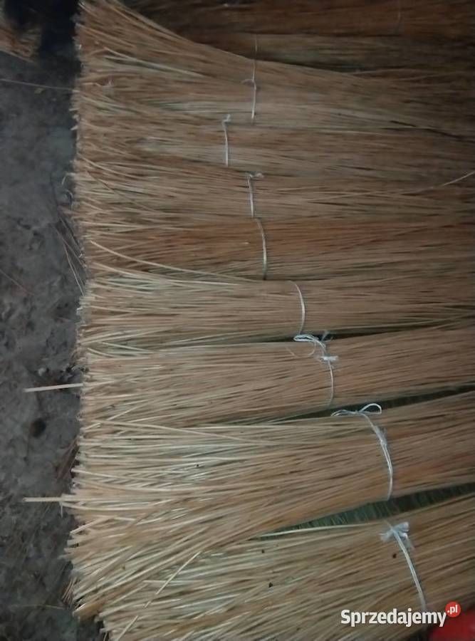 Wiklina korowana wszystkie długości Darmowy Sokołów Małopolski sprzedam