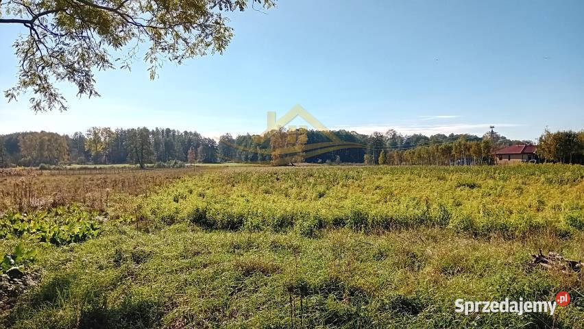 sprzedaży działki Żelechów 1005m2 budowlana Sprzedaż