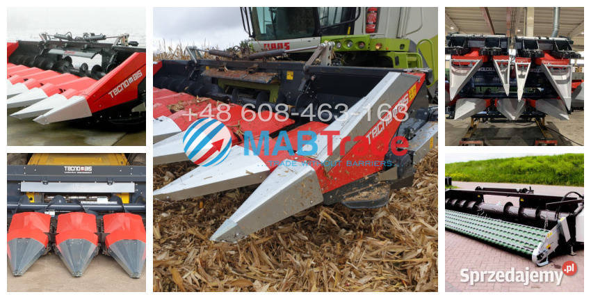Przystawka do kukurydzy TECNOMAIS 5 rzędowa Gołaczewy