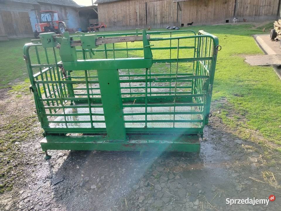 Waga bydła 1000 Hodowla bydła Bolów