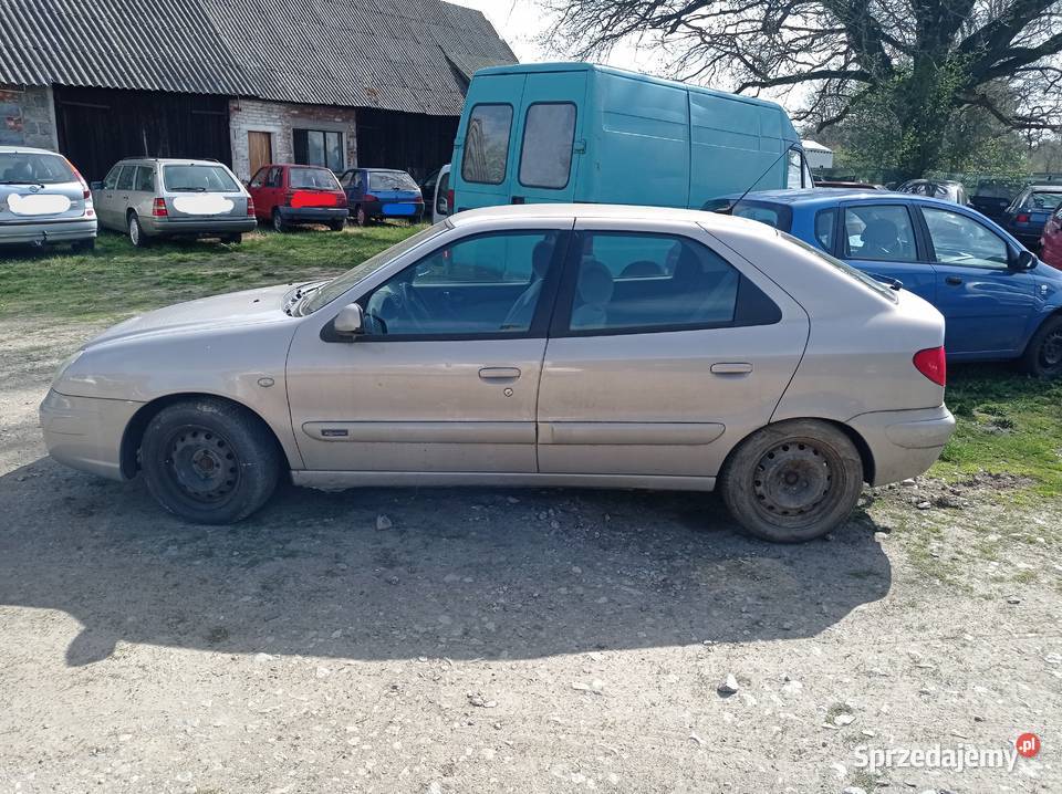Citroen Xsara 16 I 80 kW 2004 r dawca części Rok produkcji 2004 Szklarka Myślniewska