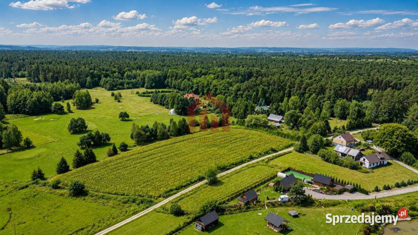 sprzedaży działki Krzywa 3100m2 prąd