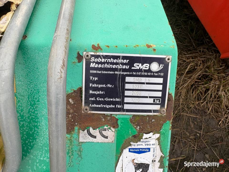 Zamiatarka Bema dolnośląskie