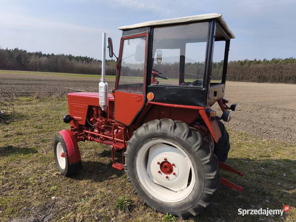 Władimirec t25 łódzkie Łanięta