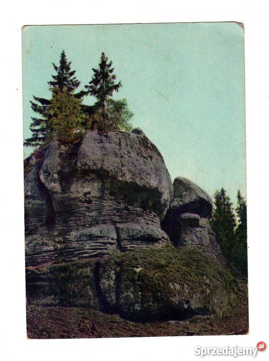 GÓRY STOŁOWE GRZYBY POCZTÓWKA Krynki