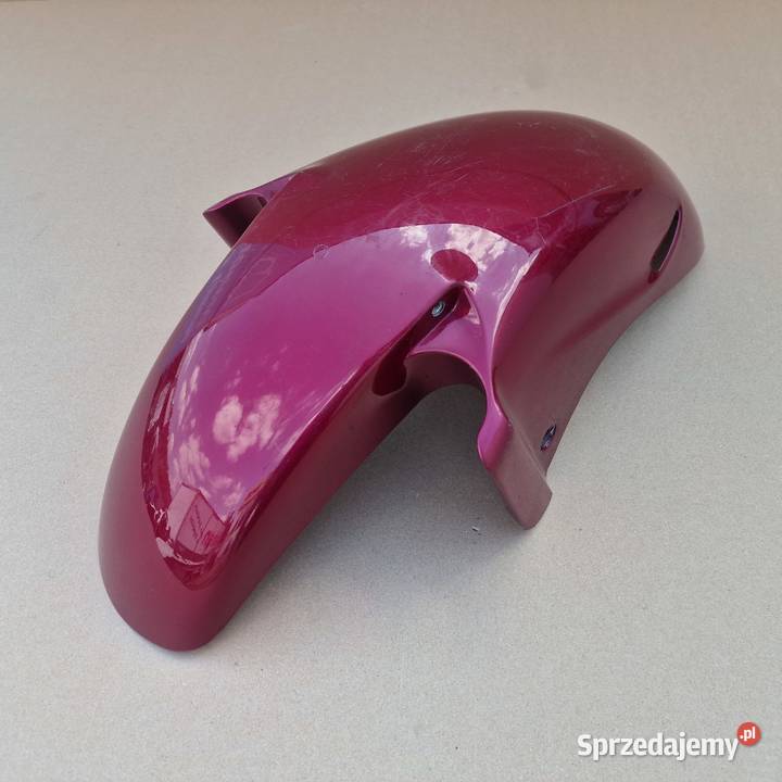 HONDA CBR 1000 XX BLACKBIRD BŁOTNIK PRZÓD Bieleń