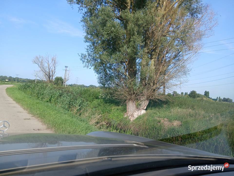 Sprzedam działkę 9971mw Gdańsku Zulawska Orunia Gdańsk