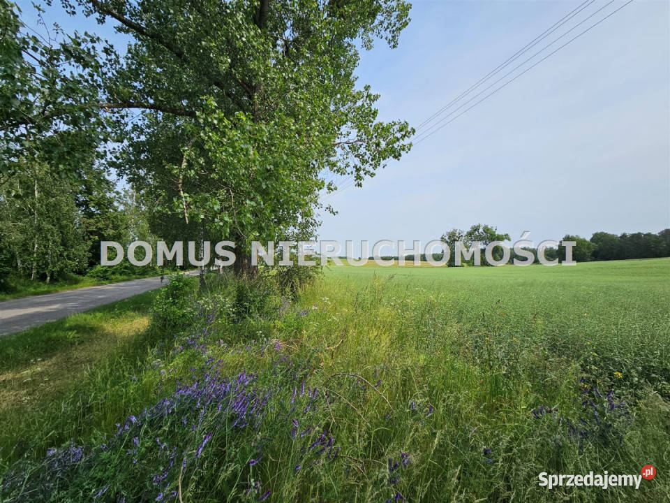 sprzedaży działki GałkówekParcela 3220m2
