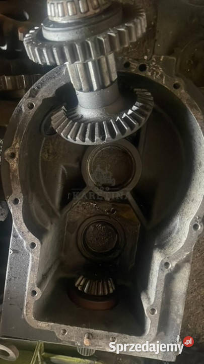 Claas RU 450 Claas RU 600 Tryby Przekładni Pozostałe Jastrzębniki sprzedam