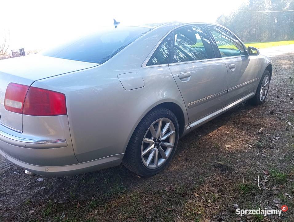 Audi A8 D3 40 świętokrzyskie