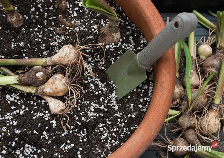 PERLIT AGROogrodniczy worki 10l FRAKCJA 26mm Janów Lubelski