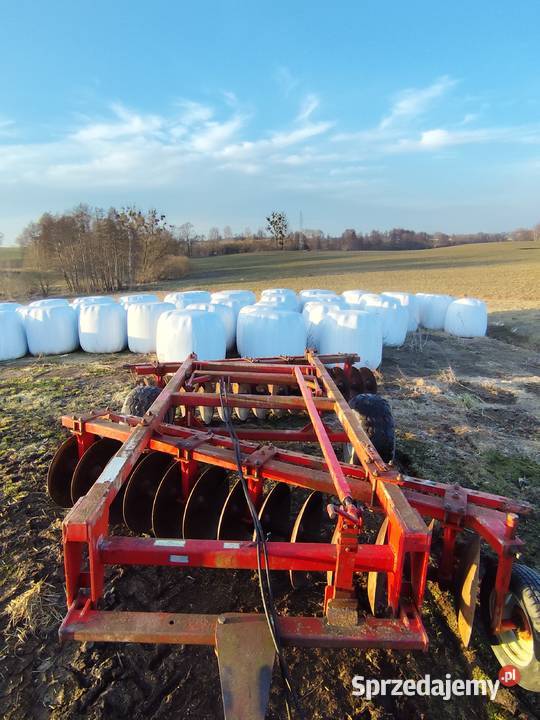 Talerzówka 33m nieuszkodzony Jabłonowo Pomorskie