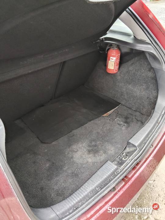 Sprawna Foczka małe pieniążki ABS łódzkie Łask