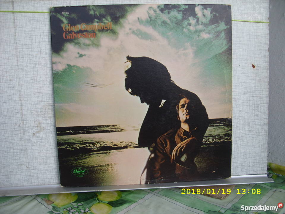 Country LP G CAMPBELLGALVESTON Canada Wołów